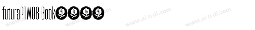 futuraPTW08 Book字体转换